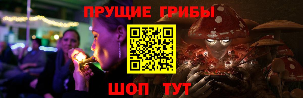 наркотики  Галлюциногенные грибы MAGIC MUSHROOMS  Вход с VPN  Карталы 